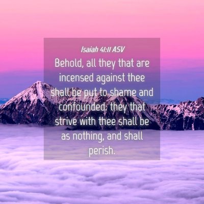 Picture 04 - Isaiah 41:11 ASV - Behold, all they that are incensed against thee - Bible Verse Picture