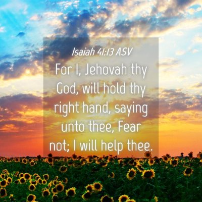 Picture 04 - Isaiah 41:13 ASV - For I, Jehovah thy God, will hold thy right hand, - Bible Verse Picture