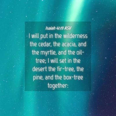Picture 04 - Isaiah 41:19 ASV - I will put in the wilderness the cedar, the - Bible Verse Picture