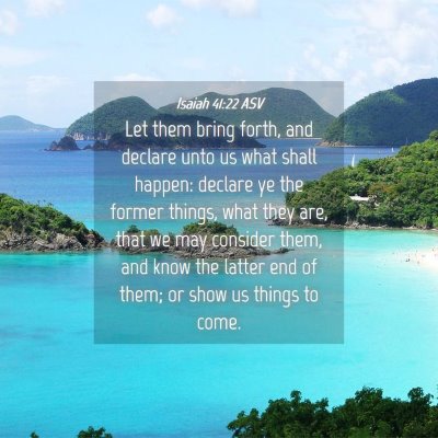 Picture 04 - Isaiah 41:22 ASV - Let them bring forth, and declare unto us what - Bible Verse Picture