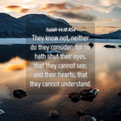 Picture 04 - Isaiah 44:18 ASV - They know not, neither do they consider: for he - Bible Verse Picture