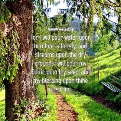 Picture 04 - Isaiah 44:3 ASV - For I will pour water upon him that is thirsty, - Bible Verse Picture