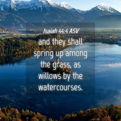 Picture 04 - Isaiah 44:4 ASV - and they shall spring up among the grass, as - Bible Verse Picture
