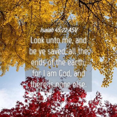 Picture 04 - Isaiah 45:22 ASV - Look unto me, and be ye saved, all the ends of - Bible Verse Picture