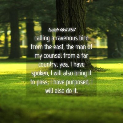Picture 04 - Isaiah 46:11 ASV - calling a ravenous bird from the east, the man of - Bible Verse Picture