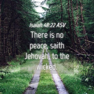 Picture 04 - Isaiah 48:22 ASV - There is no peace, saith Jehovah, to the - Bible Verse Picture