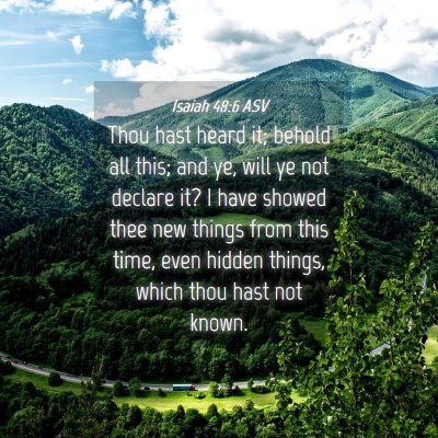 Picture 04 - Isaiah 48:6 ASV - Thou hast heard it; behold all this; and ye, will - Bible Verse Picture
