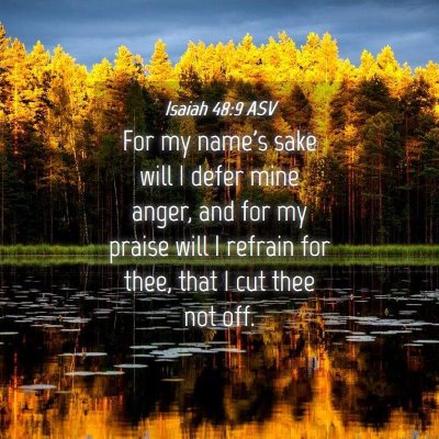Picture 04 - Isaiah 48:9 ASV - For my name's sake will I defer mine anger, and - Bible Verse Picture