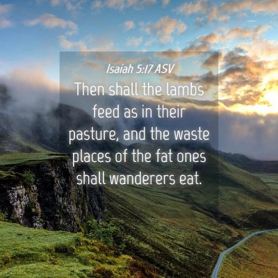 Picture 04 - Isaiah 5:17 ASV - Then shall the lambs feed as in their pasture, - Bible Verse Picture