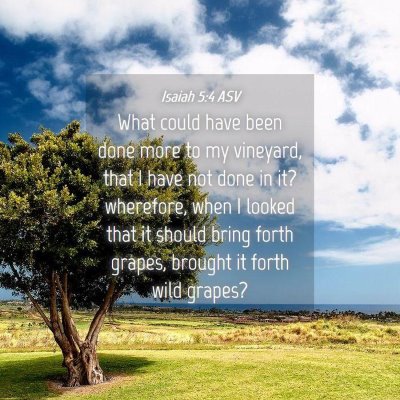 Picture 04 - Isaiah 5:4 ASV - What could have been done more to my vineyard, - Bible Verse Picture