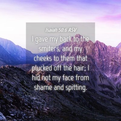 Picture 04 - Isaiah 50:6 ASV - I gave my back to the smiters, and my cheeks to - Bible Verse Picture