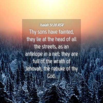 Picture 04 - Isaiah 51:20 ASV - Thy sons have fainted, they lie at the head of - Bible Verse Picture
