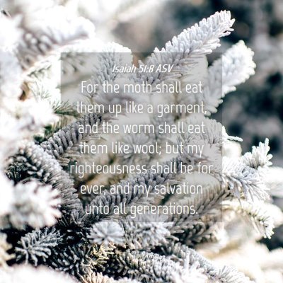 Picture 04 - Isaiah 51:8 ASV - For the moth shall eat them up like a garment, - Bible Verse Picture