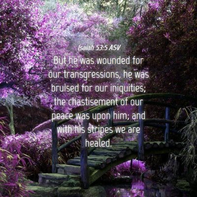 Picture 04 - Isaiah 53:5 ASV - But he was wounded for our transgressions, he was - Bible Verse Picture