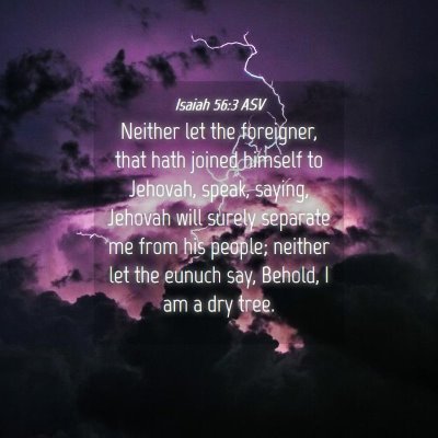 Picture 04 - Isaiah 56:3 ASV - Neither let the foreigner, that hath joined - Bible Verse Picture