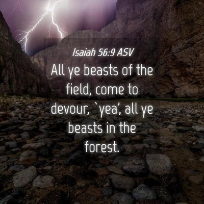 Picture 04 - Isaiah 56:9 ASV - All ye beasts of the field, come to devour, - Bible Verse Picture