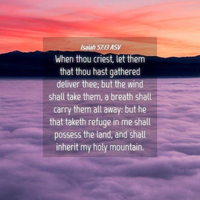 Picture 04 - Isaiah 57:13 ASV - When thou criest, let them that thou hast - Bible Verse Picture