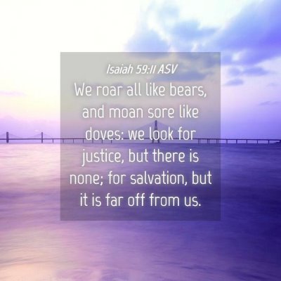 Picture 04 - Isaiah 59:11 ASV - We roar all like bears, and moan sore like doves: - Bible Verse Picture