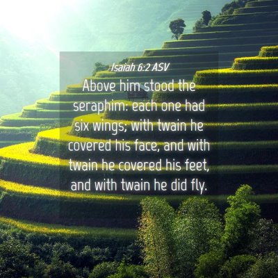 Picture 04 - Isaiah 6:2 ASV - Above him stood the seraphim: each one had six - Bible Verse Picture