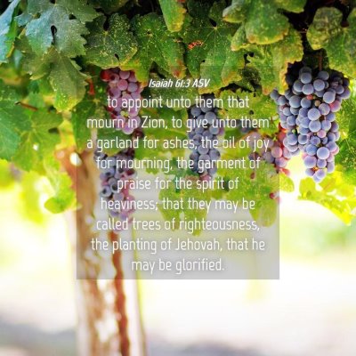 Picture 04 - Isaiah 61:3 ASV - to appoint unto them that mourn in Zion, to give - Bible Verse Picture
