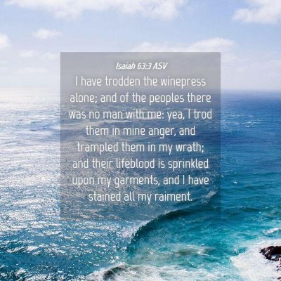 Picture 04 - Isaiah 63:3 ASV - I have trodden the winepress alone; and of the - Bible Verse Picture