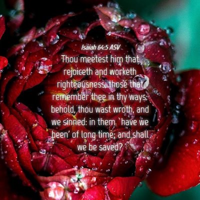 Picture 04 - Isaiah 64:5 ASV - Thou meetest him that rejoiceth and worketh - Bible Verse Picture