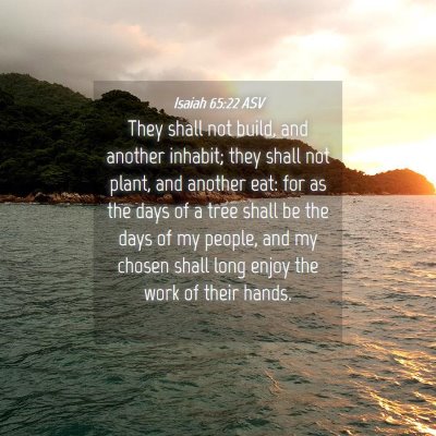 Picture 04 - Isaiah 65:22 ASV - They shall not build, and another inhabit; they - Bible Verse Picture