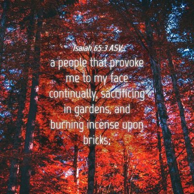 Picture 04 - Isaiah 65:3 ASV - a people that provoke me to my face continually, - Bible Verse Picture