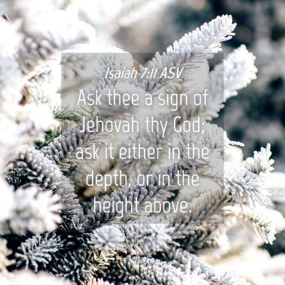 Picture 04 - Isaiah 7:11 ASV - Ask thee a sign of Jehovah thy God; ask it either - Bible Verse Picture