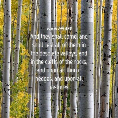 Picture 04 - Isaiah 7:19 ASV - And they shall come, and shall rest all of them - Bible Verse Picture