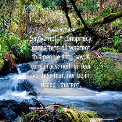 Picture 04 - Isaiah 8:12 ASV - Say ye not, A conspiracy, concerning all whereof - Bible Verse Picture