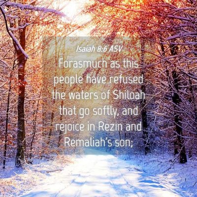 Picture 04 - Isaiah 8:6 ASV - Forasmuch as this people have refused the waters - Bible Verse Picture