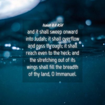 Picture 04 - Isaiah 8:8 ASV - and it shall sweep onward into Judah; it shall - Bible Verse Picture