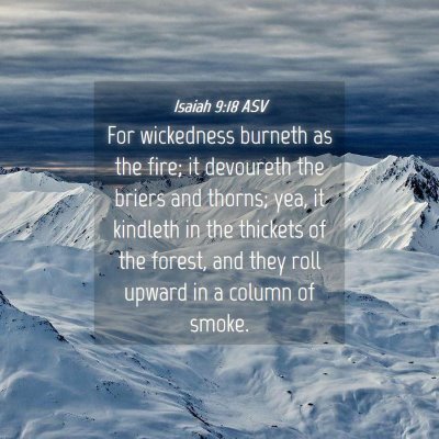 Picture 04 - Isaiah 9:18 ASV - For wickedness burneth as the fire; it devoureth - Bible Verse Picture