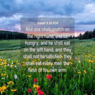 Picture 04 - Isaiah 9:20 ASV - And one shall snatch on the right hand, and be - Bible Verse Picture