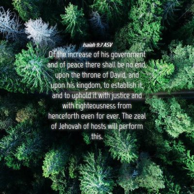 Picture 04 - Isaiah 9:7 ASV - Of the increase of his government and of peace - Bible Verse Picture