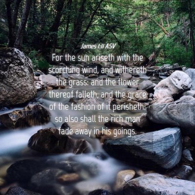 Picture 04 - James 1:11 ASV - For the sun ariseth with the scorching wind, and - Bible Verse Picture