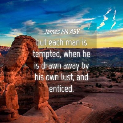 Picture 04 - James 1:14 ASV - but each man is tempted, when he is drawn away by - Bible Verse Picture