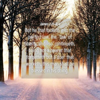 Picture 04 - James 1:25 ASV - But he that looketh into the perfect law, the - Bible Verse Picture