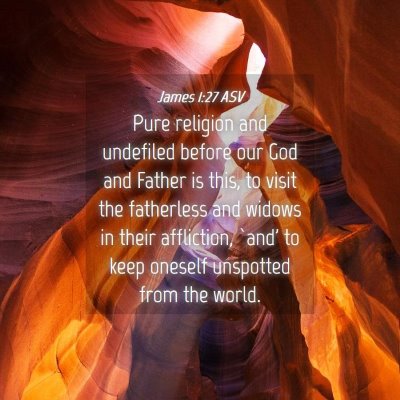 Picture 04 - James 1:27 ASV - Pure religion and undefiled before our God and - Bible Verse Picture