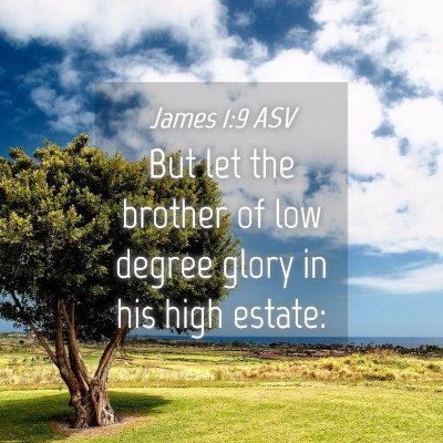 Picture 04 - James 1:9 ASV - But let the brother of low degree glory in his - Bible Verse Picture