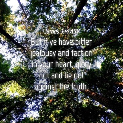Picture 04 - James 3:14 ASV - But if ye have bitter jealousy and faction in - Bible Verse Picture
