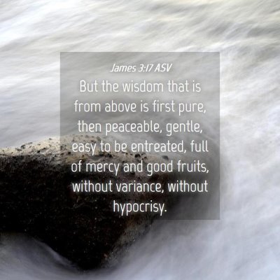 Picture 04 - James 3:17 ASV - But the wisdom that is from above is first pure, - Bible Verse Picture