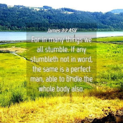 Picture 04 - James 3:2 ASV - For in many things we all stumble. If any - Bible Verse Picture