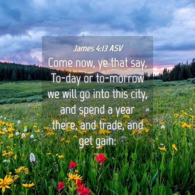 Picture 04 - James 4:13 ASV - Come now, ye that say, To-day or to-morrow we - Bible Verse Picture