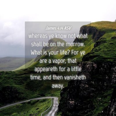 Picture 04 - James 4:14 ASV - whereas ye know not what shall be on the morrow. - Bible Verse Picture