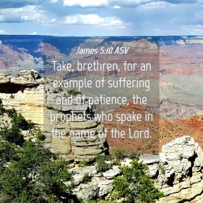 Picture 04 - James 5:10 ASV - Take, brethren, for an example of suffering and - Bible Verse Picture