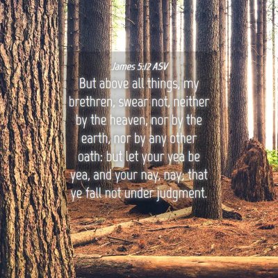 Picture 04 - James 5:12 ASV - But above all things, my brethren, swear not, - Bible Verse Picture