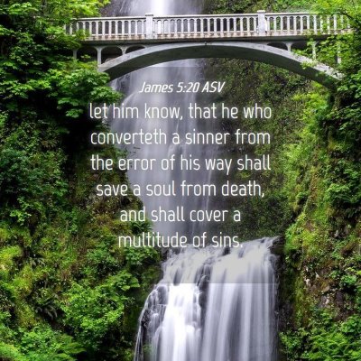 Picture 04 - James 5:20 ASV - let him know, that he who converteth a sinner - Bible Verse Picture