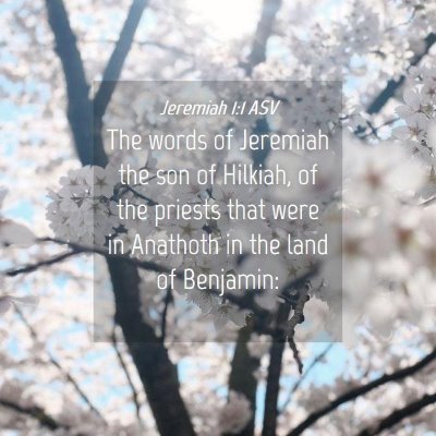 Picture 04 - Jeremiah 1:1 ASV - The words of Jeremiah the son of Hilkiah, of the - Bible Verse Picture